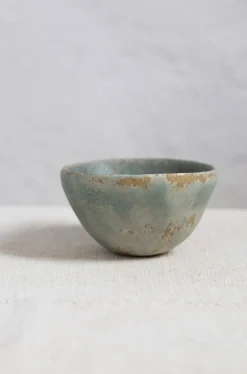Bol mini Sage